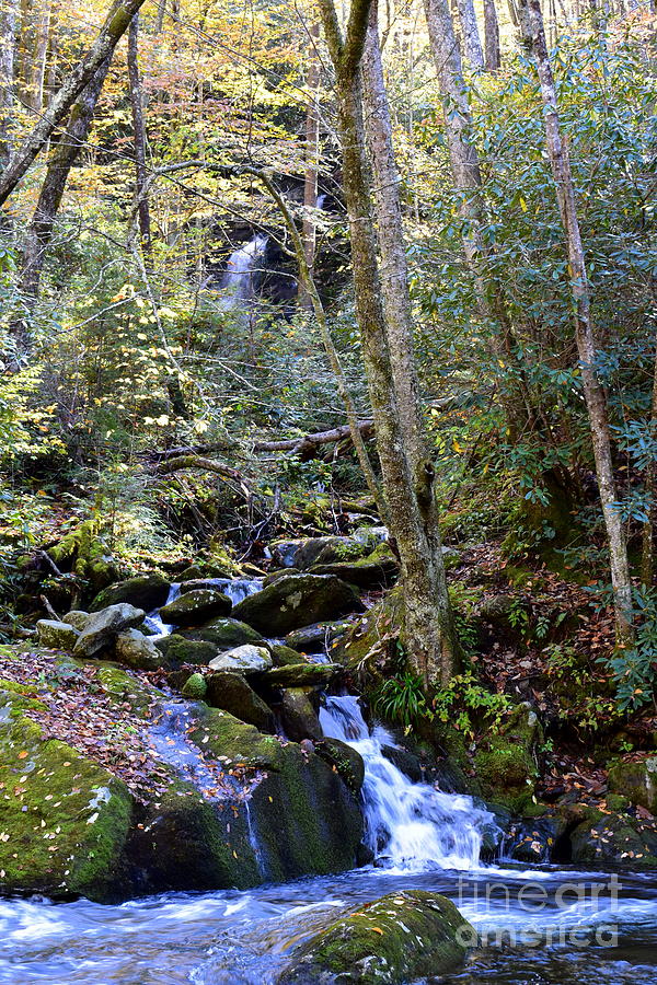 My Secret Falls Photograph By Cheryl Hardt Art Fine Art America