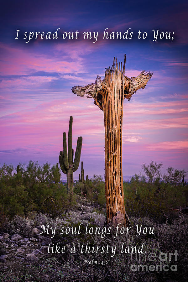 My Soul Longs For You IN004 Photograph by Kenneth Johnson