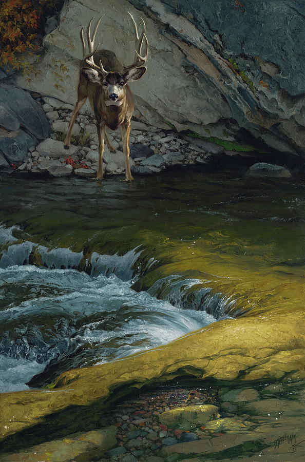 Deer Painting - My Souls Longing by Greg Beecham