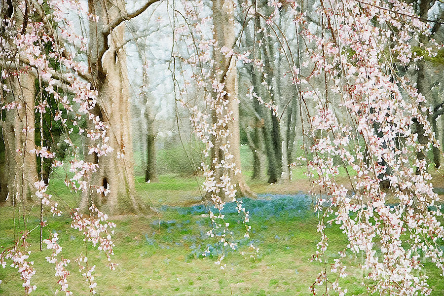 My Spring Dream Photograph by Marilyn Cornwell