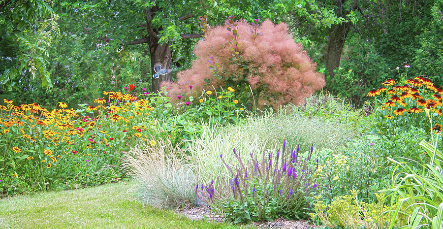 My Summer Backyard Garden Photograph by Patti Deters