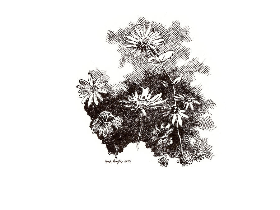 My Summer in Flowers - September 2023 Drawing by Joseph A Langley
