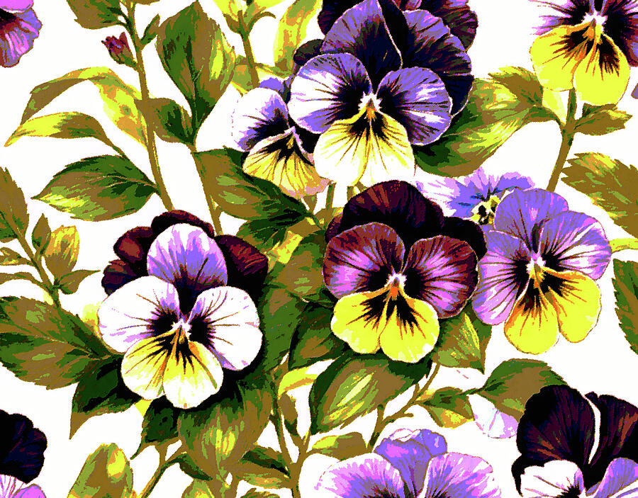 My sweet pansy flowers Digital Art by Ruth Digital vision - Fine Art ...