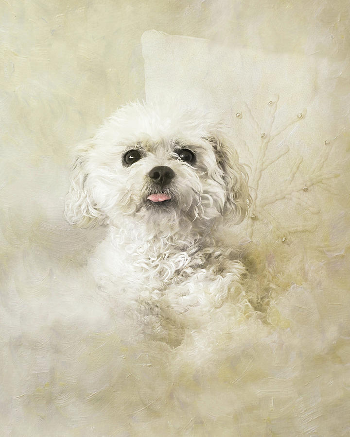 My Sweet Winter Dog Friend Mixed Media by Patti Deters