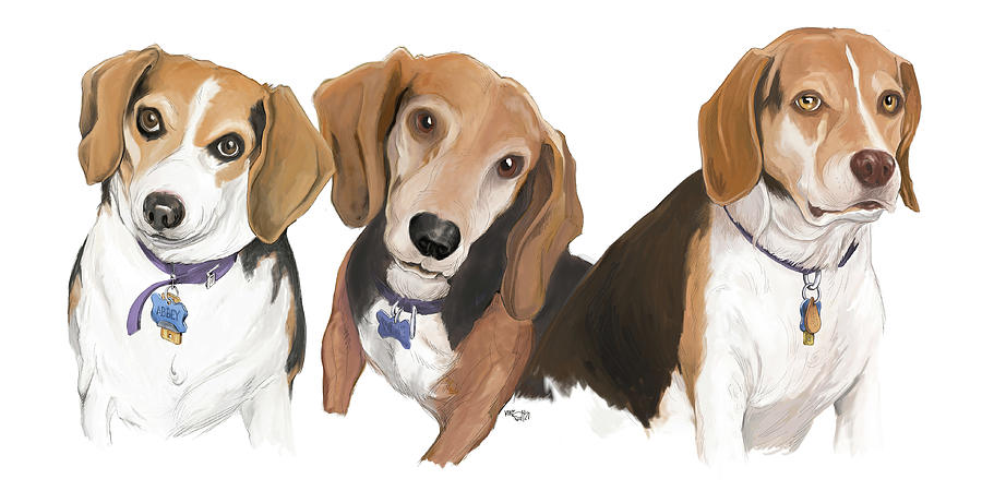 My Three Beagles Drawing by Mike Scott