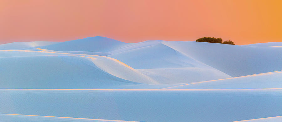 My White Sands Vision Photograph by David Downs