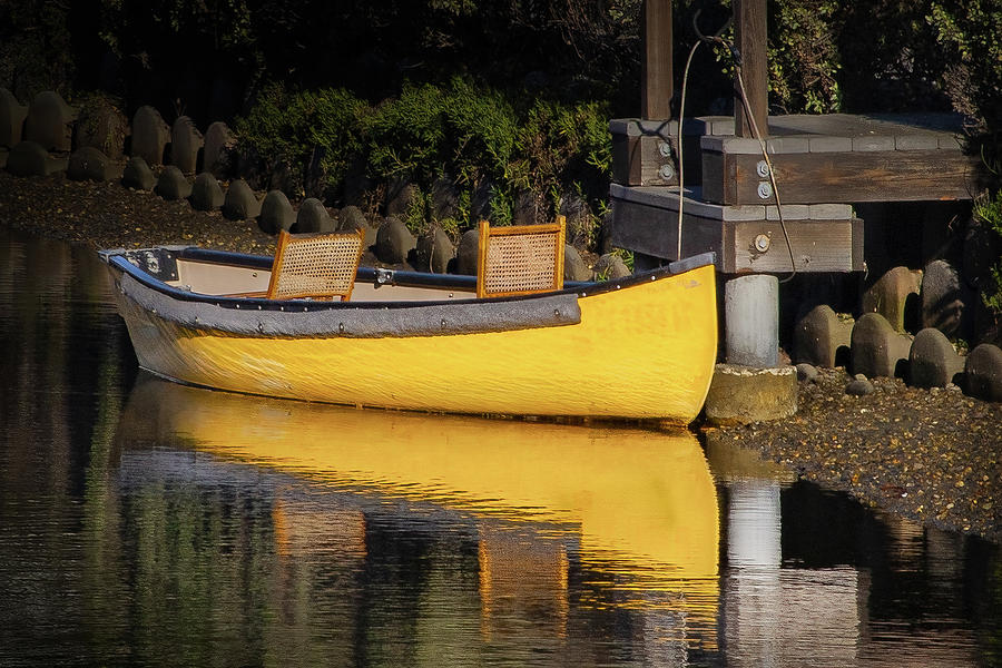 My Yellow Canoe Photograph by Jerry Cowart