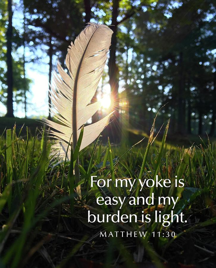 My Yoke is Easy Photograph by Greg Lane My Yoke is Easy Photograph by Greg Lane