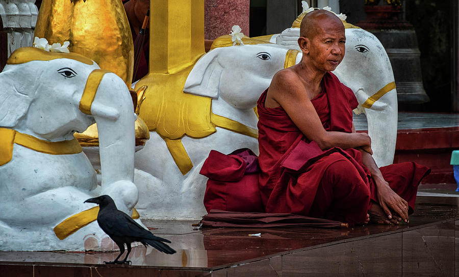 Myanmar Photograph - Myanmar Faithful 11 by David Longstreath