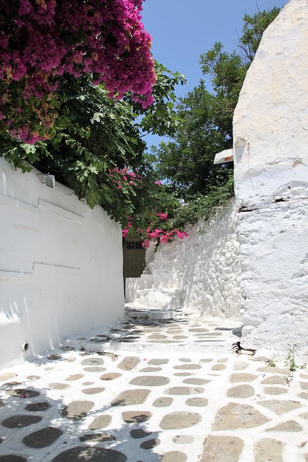 Mykonos walk Photograph by Jedd Nero - Fine Art America