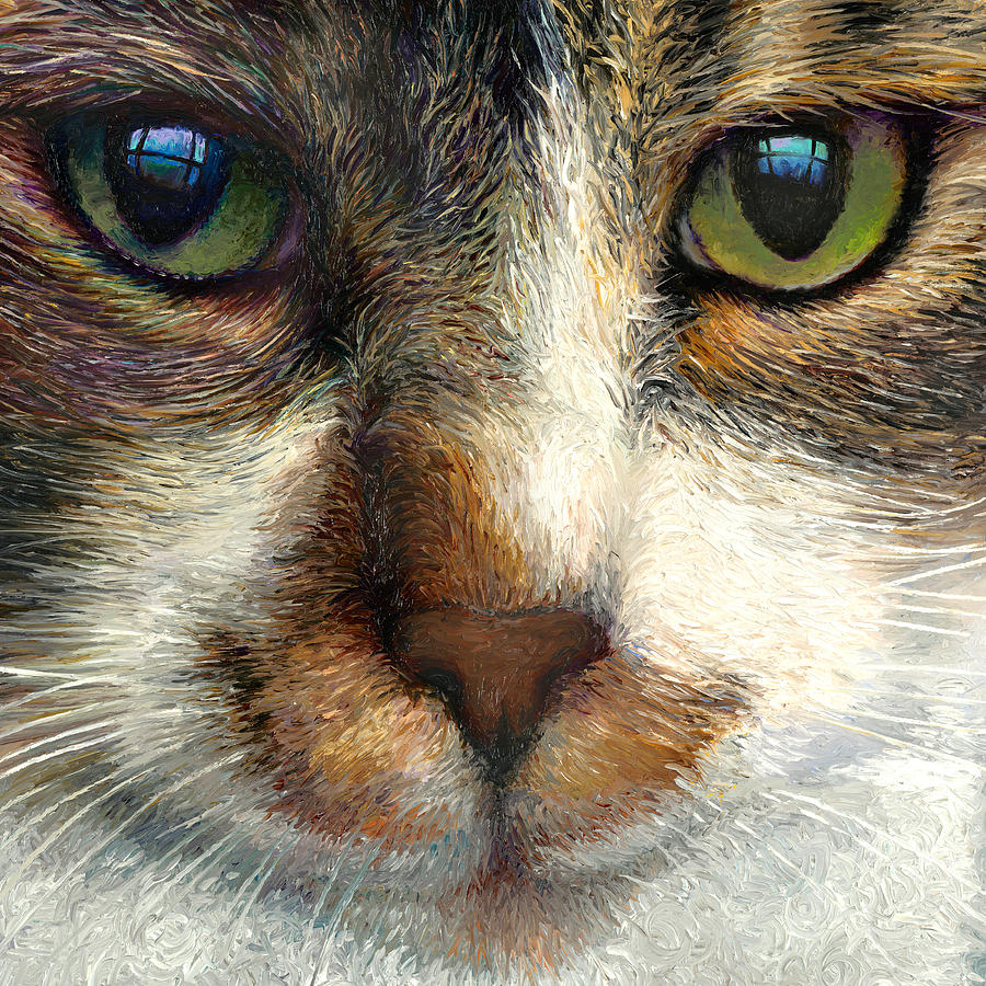 Cat Painting - Mykos by Iris Scott