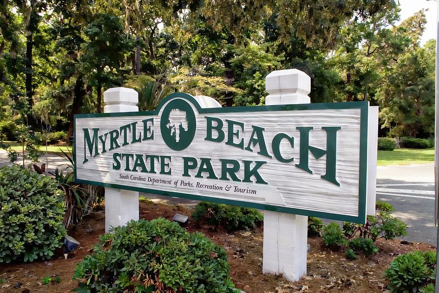 Myrtle Beach State Park SC Photograph by Bob Pardue