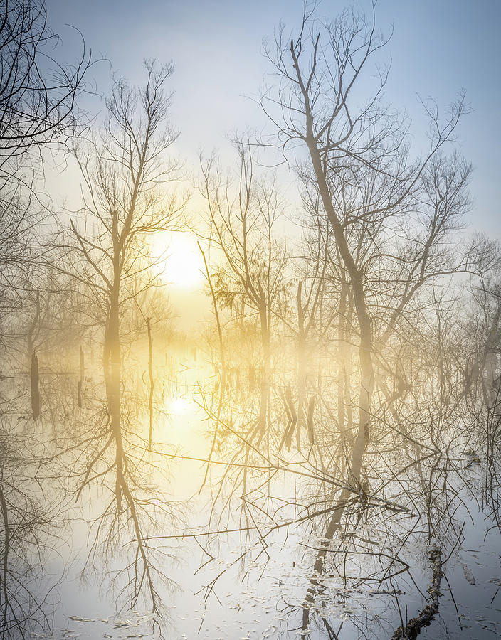 Mysitical Reflections Photograph by Jordan Hill