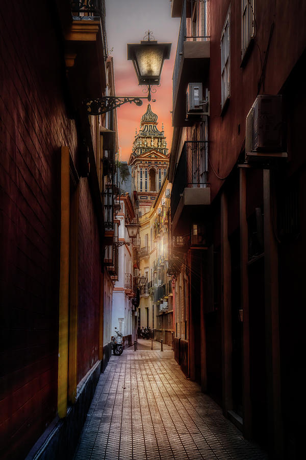 Mysterious alley Photograph by Micah Offman