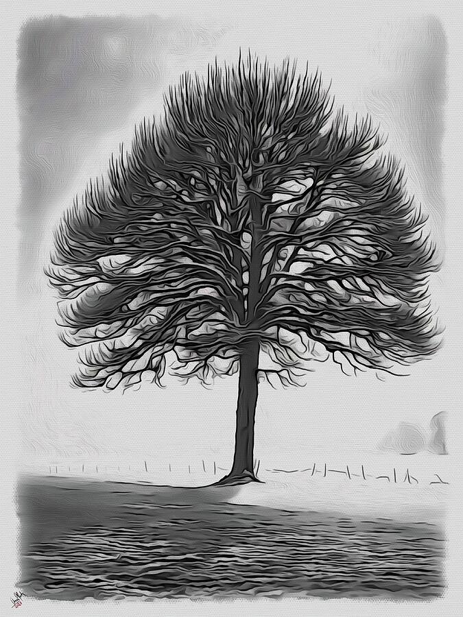 Mysterious B/W Tree Painting by Anas Afash - Fine Art America