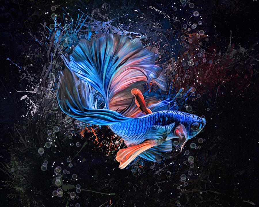 Mysterious Blue Betta Fish Aquatic Portrait Digital Art by