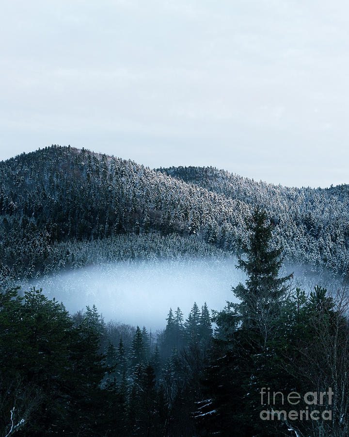 Winter Photograph - Mysterious fog trapped in winter spruce forest by Patrik Lovrin