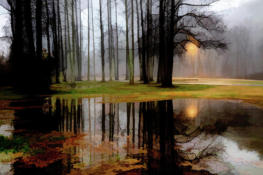 Mysterious Forest Reflections Abstract Painting Photograph by Debra and Dave Vanderlaan
