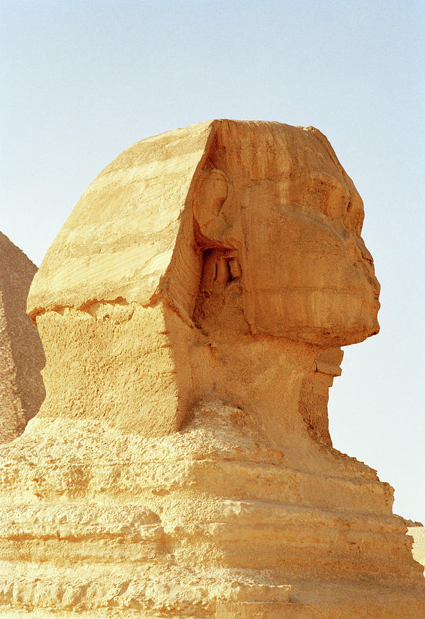 Mysterious Sphinx Photograph by Shaun Higson