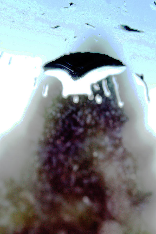 Abstract Photograph - Mysteriously Mysterious by Holly Morris Abstract Photograph - Mysteriously Mysterious by Holly Morris