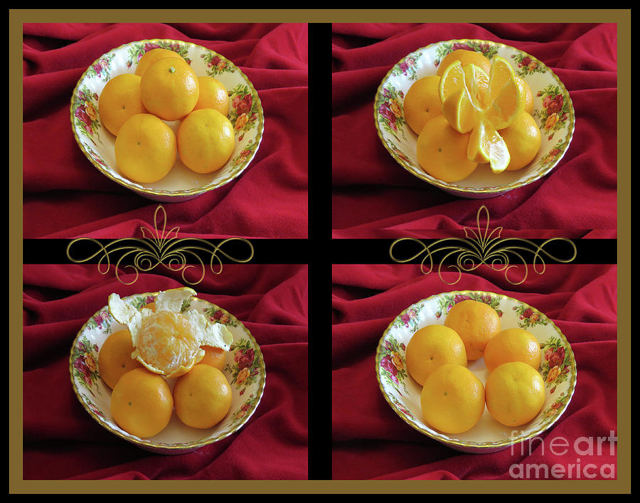 Mystery Life of an Orange Photograph by Mary Mikawoz
