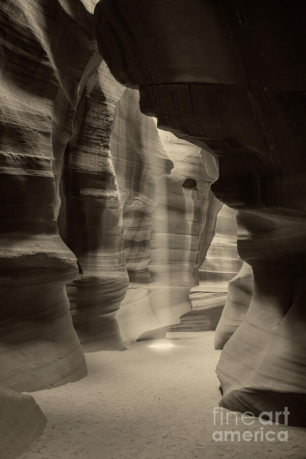 Mystery Passage In The Canyons Monochromatic Photograph By Bee Creek ...