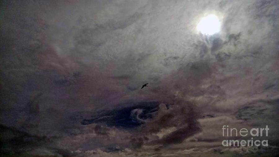 Mystery Sky Photograph by Roberta Byram