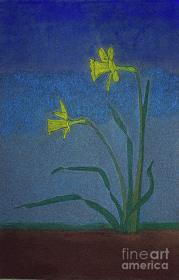 Mystic Daffodils  Painting by Norma Appleton