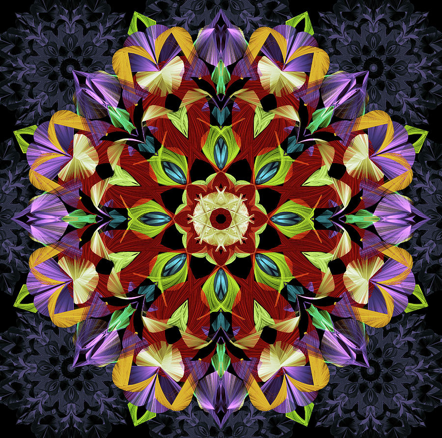Mystic Flower  Mandala Digital Art by Grace Iradian