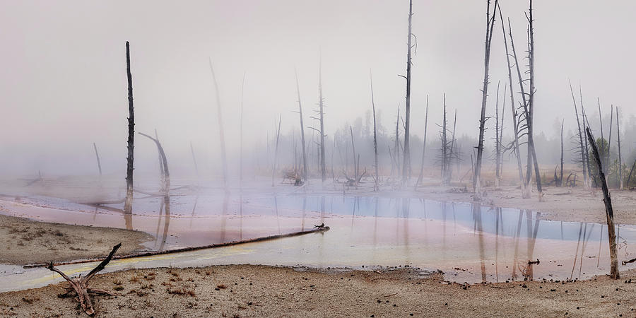 Mystic Forest Fog - Yellowstone 2x1 Panorama Photograph by Alex Mironyuk