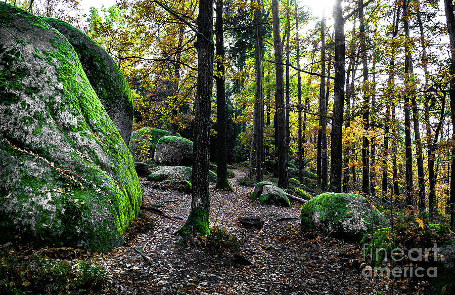 Mystic Landscape Of Nature Park Blockheide With Granite Rock Formations In Waldviertel In Austria Photograph by Andreas Berthold