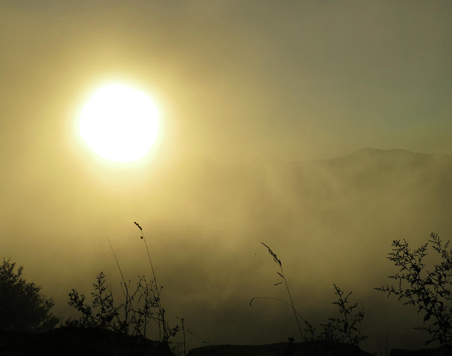 Mystic Mountain Sunrise Photograph by Joshua Bales