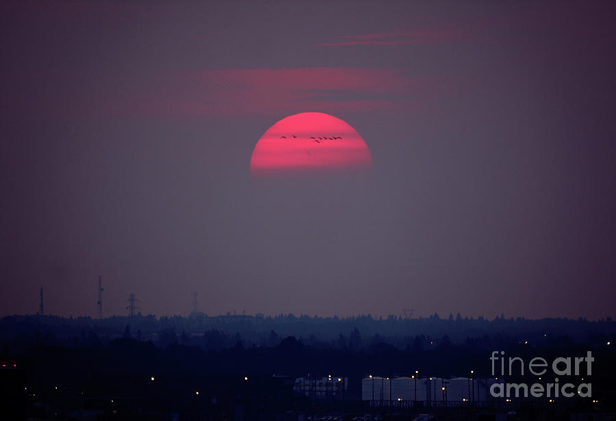 Mystic Sunset Photograph by Terry Elniski