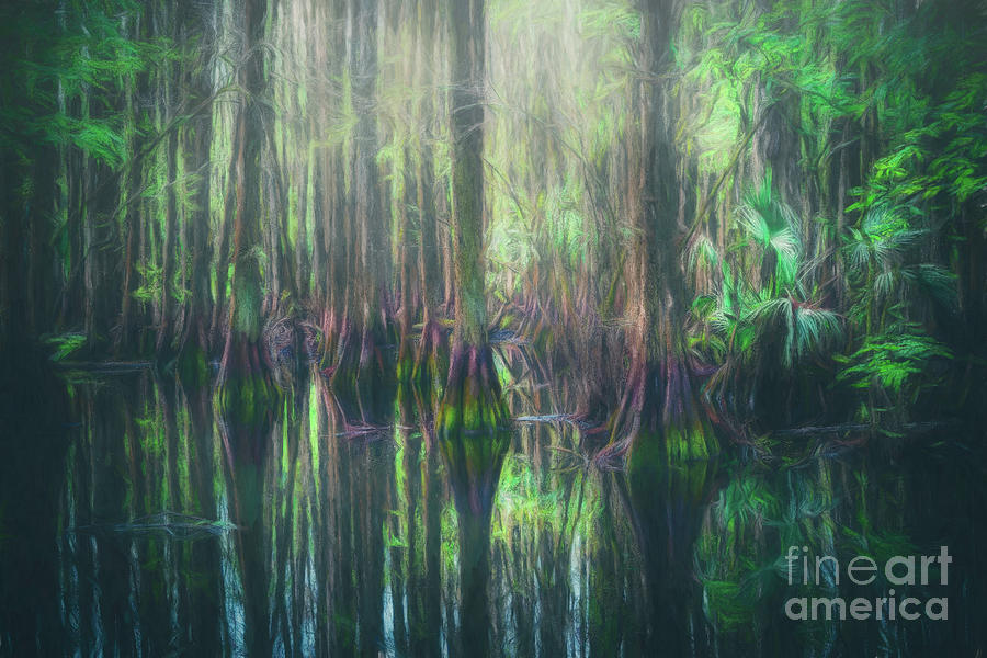 Mystical Cypress Swamp, Florida, Painterly Photograph by Liesl Walsh