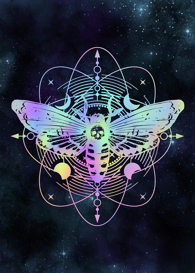 Mystical Death Head Hawk Moth Digital Art by Little Black Bird Designs   Pixels