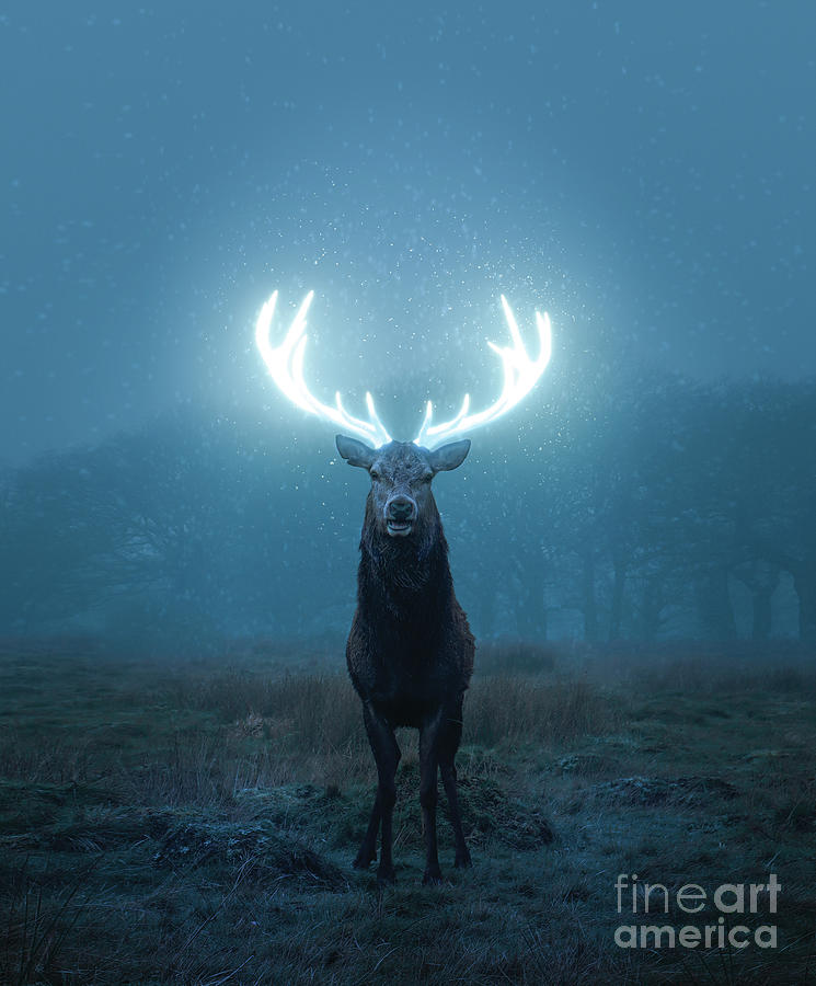 Mystical Deer With Glowing Antlers Digital Art by Qkibrat | Pixels