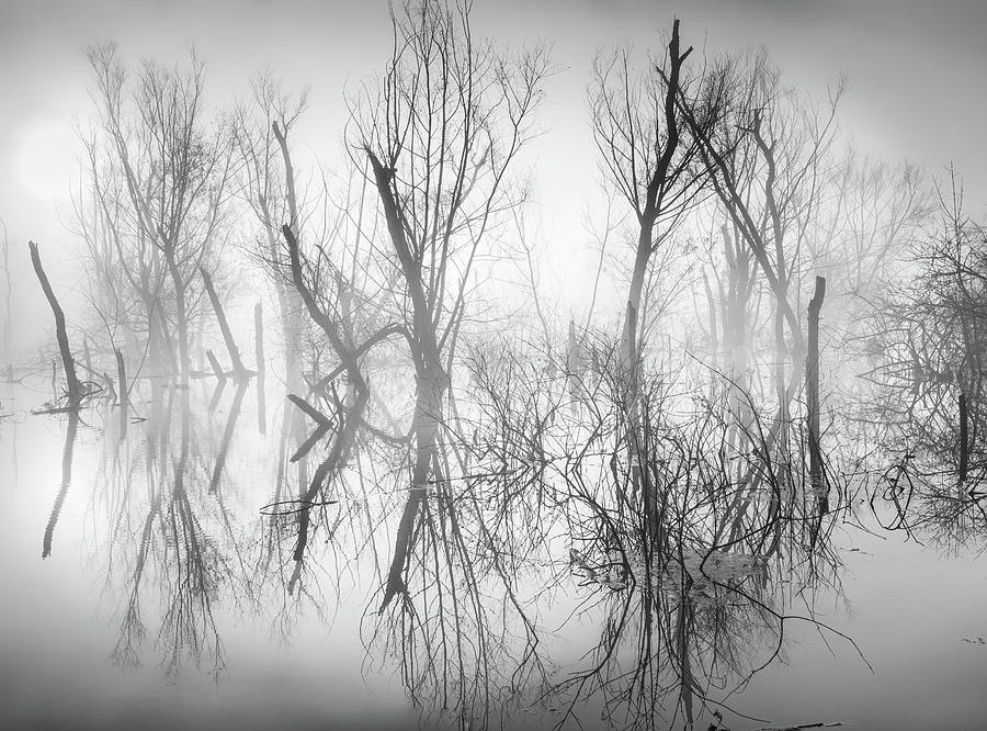 Mystical Lake In Black And White Photograph by Jordan Hill