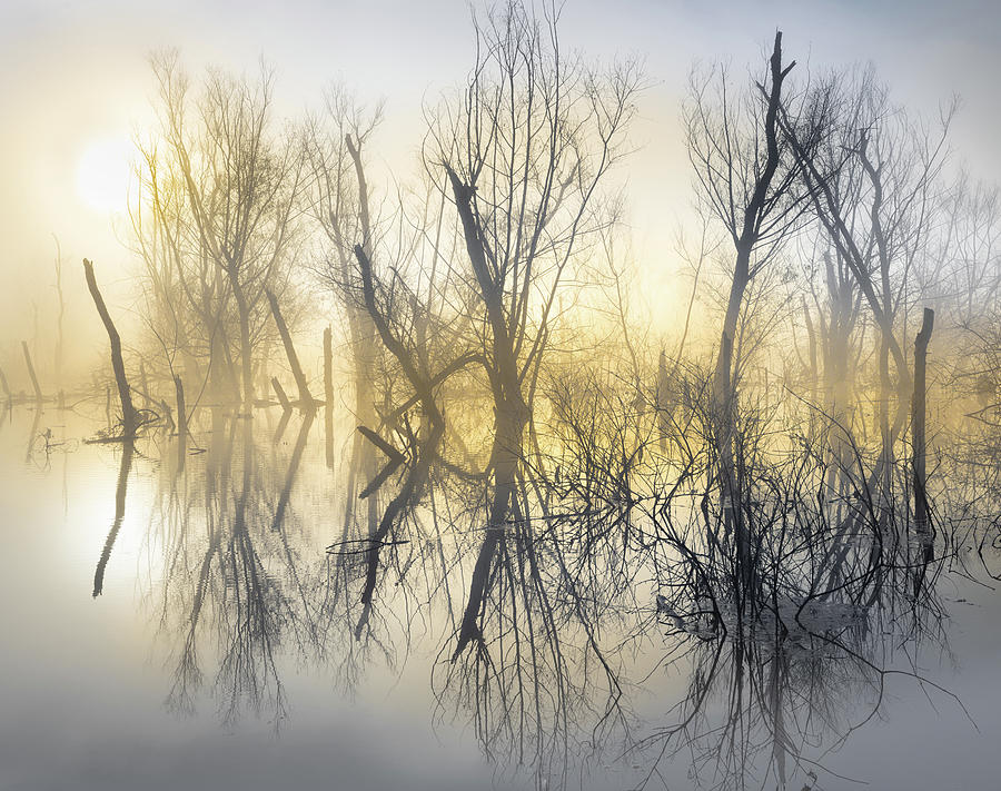 Mystical Lake Photograph by Jordan Hill
