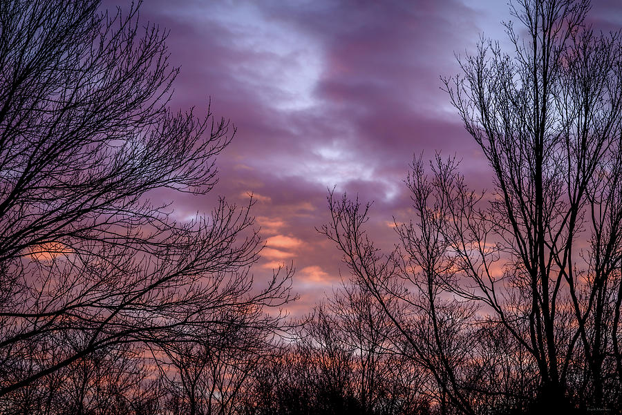 Mystical Morning Sky Photograph by Frank Mari
