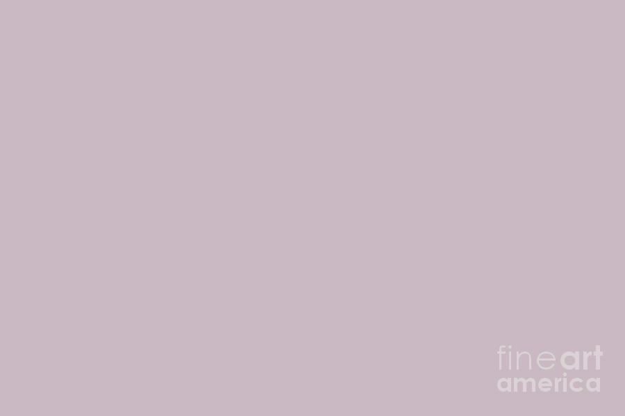 Mystical Pastel Pink Purple Solid Color Pairs To Sherwin Williams Mauve Finery SW 6282 Digital Art by PIPA Fine Art - Simply Solid