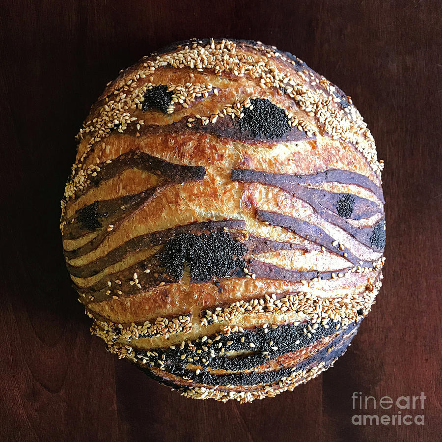 Mystical Seeded Sourdough Planet Designs x 2 1 Photograph by Amy E Fraser