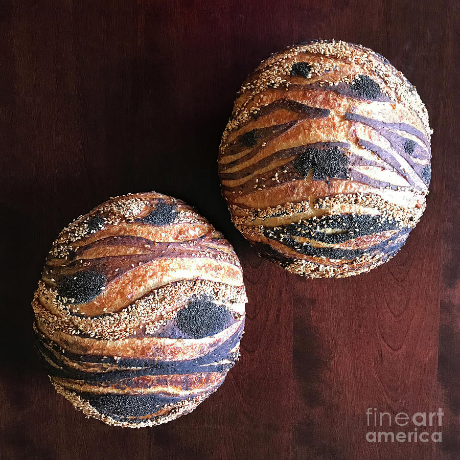 Mystical Seeded Sourdough Planet Designs x 2 3 Photograph by Amy E Fraser