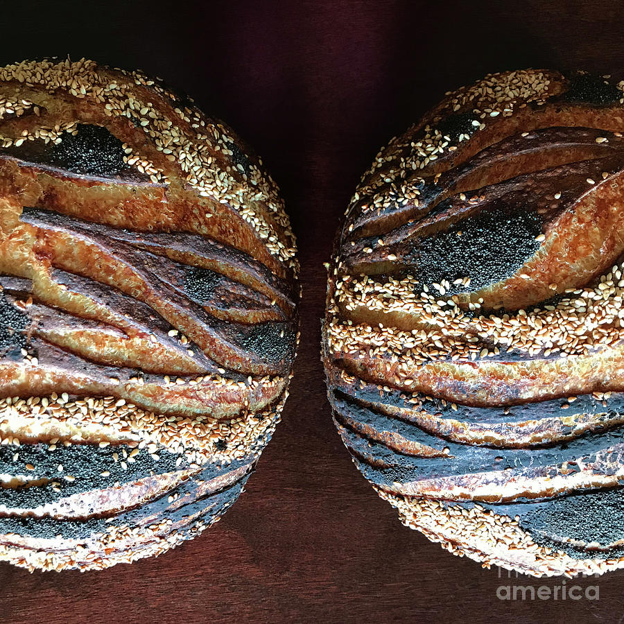 Mystical Seeded Sourdough Planet Designs x 2 4 Photograph by Amy E Fraser