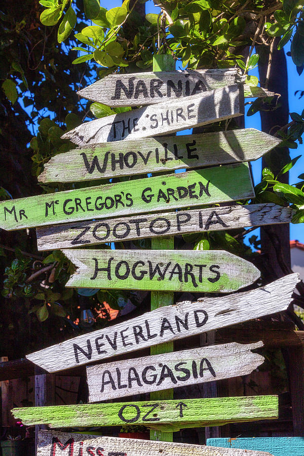 Zootopia Photograph - Mystical Sign Post by Garry Gay