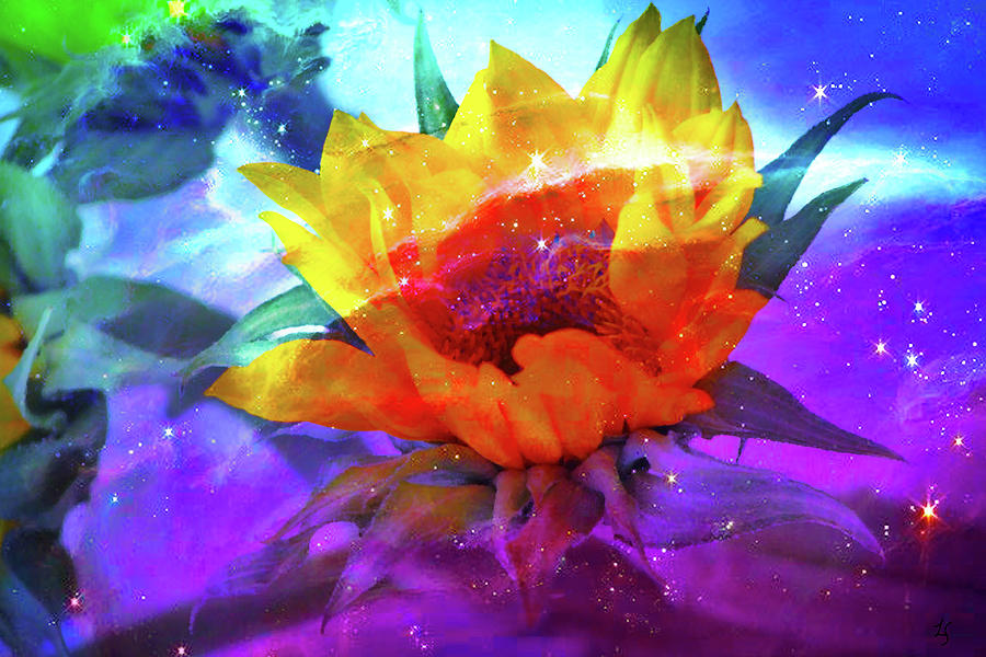 Mystical Sunflower Photograph by Linda Sannuti