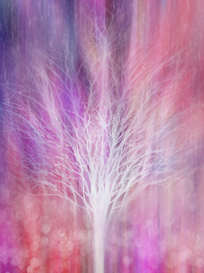 Mystical Tree Digital Art by Terry Davis | Pixels