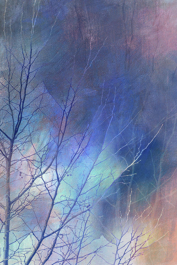 Mystical Winter Tree Digital Art by Terry Davis