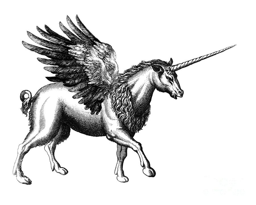 Greek Digital Art - Mythical Unicorn by Madame Memento