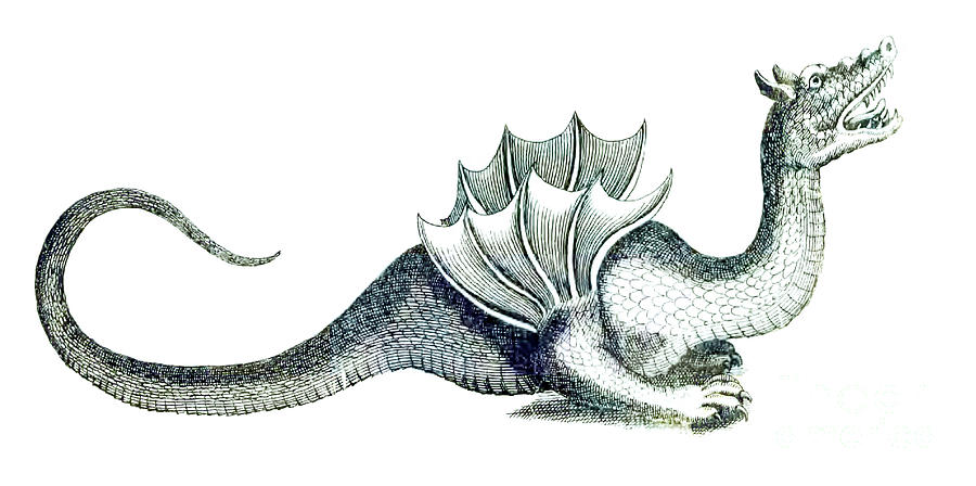 sea monster sketch