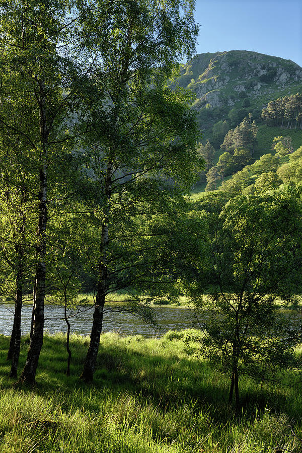 Nab Scar Mountain On The Rydal Water Lake Of River Rothay At Ryd Photograph